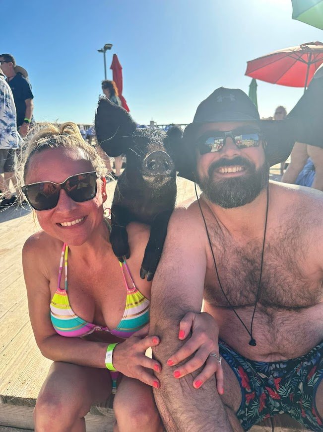 Pig beach